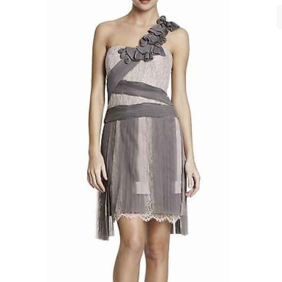 BCBGMaxAzria Dresses & Skirts - BCBGMAXAZRIA Runway Pleated Lace Dress